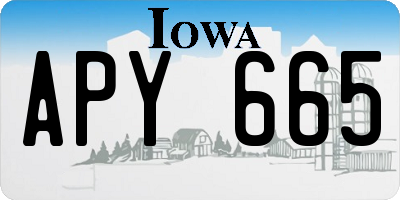IA license plate APY665