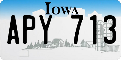 IA license plate APY713