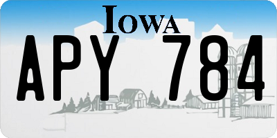 IA license plate APY784