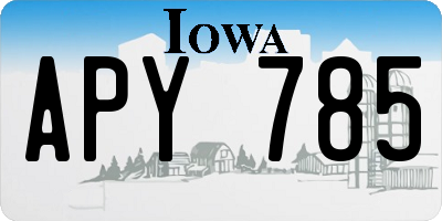 IA license plate APY785