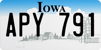 IA license plate APY791