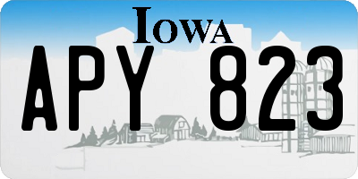 IA license plate APY823
