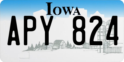 IA license plate APY824