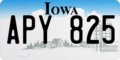 IA license plate APY825
