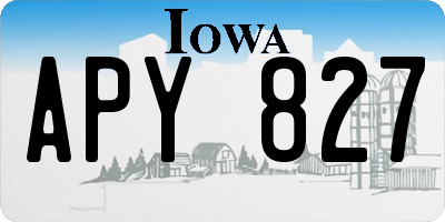 IA license plate APY827
