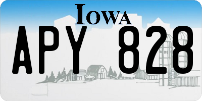 IA license plate APY828