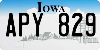 IA license plate APY829