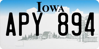 IA license plate APY894