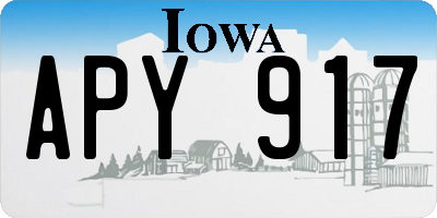 IA license plate APY917