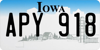 IA license plate APY918