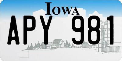 IA license plate APY981