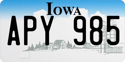 IA license plate APY985