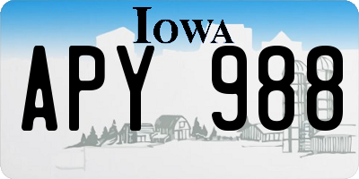 IA license plate APY988