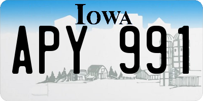 IA license plate APY991
