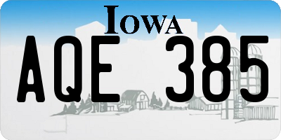 IA license plate AQE385