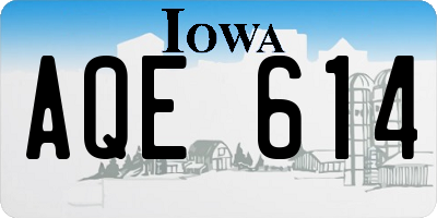 IA license plate AQE614