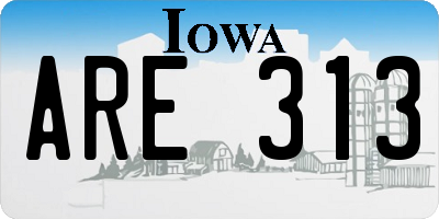 IA license plate ARE313