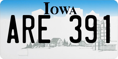 IA license plate ARE391