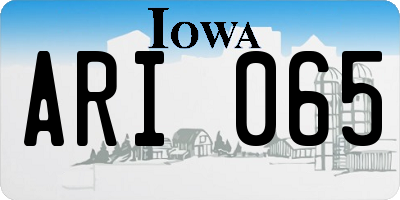 IA license plate ARI065