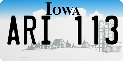 IA license plate ARI113