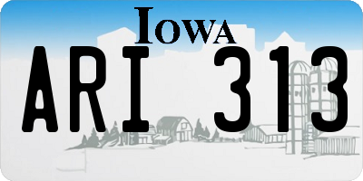 IA license plate ARI313