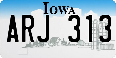 IA license plate ARJ313