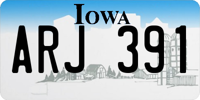 IA license plate ARJ391