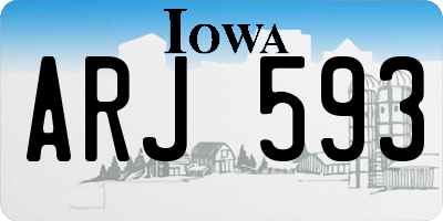IA license plate ARJ593