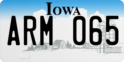 IA license plate ARM065
