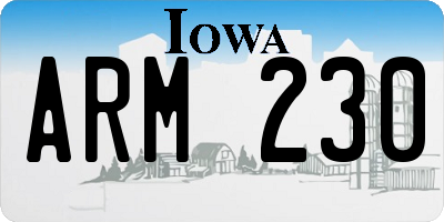 IA license plate ARM230
