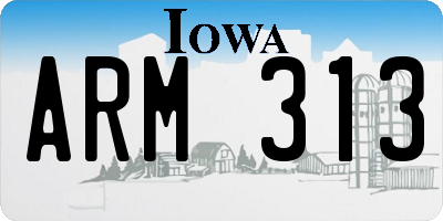 IA license plate ARM313