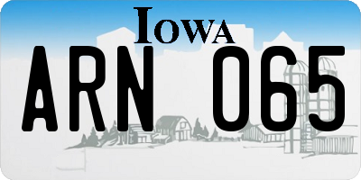 IA license plate ARN065