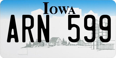 IA license plate ARN599