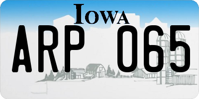 IA license plate ARP065
