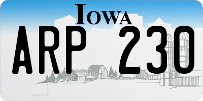 IA license plate ARP230