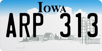 IA license plate ARP313