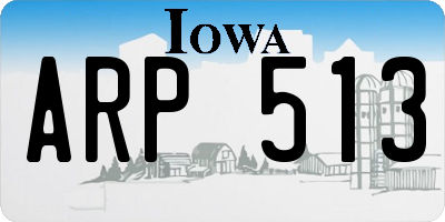 IA license plate ARP513