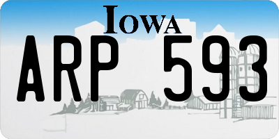 IA license plate ARP593