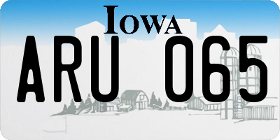 IA license plate ARU065
