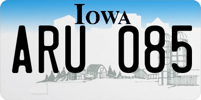 IA license plate ARU085