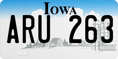 IA license plate ARU263