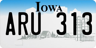 IA license plate ARU313