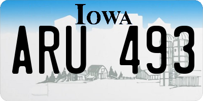 IA license plate ARU493