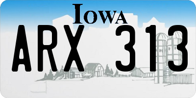 IA license plate ARX313