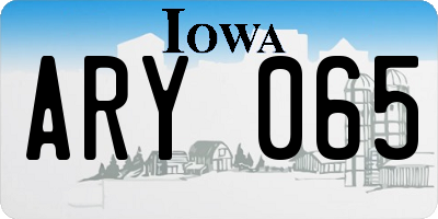 IA license plate ARY065