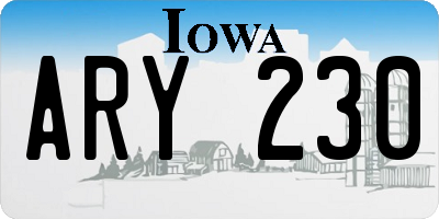 IA license plate ARY230
