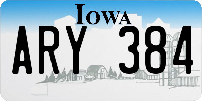 IA license plate ARY384