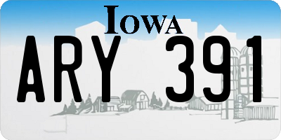 IA license plate ARY391