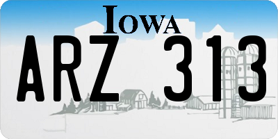 IA license plate ARZ313