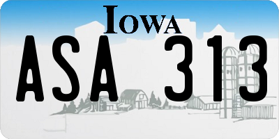IA license plate ASA313